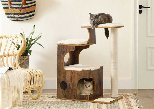 Sind Kratzbäume wichtig für Katzen?
