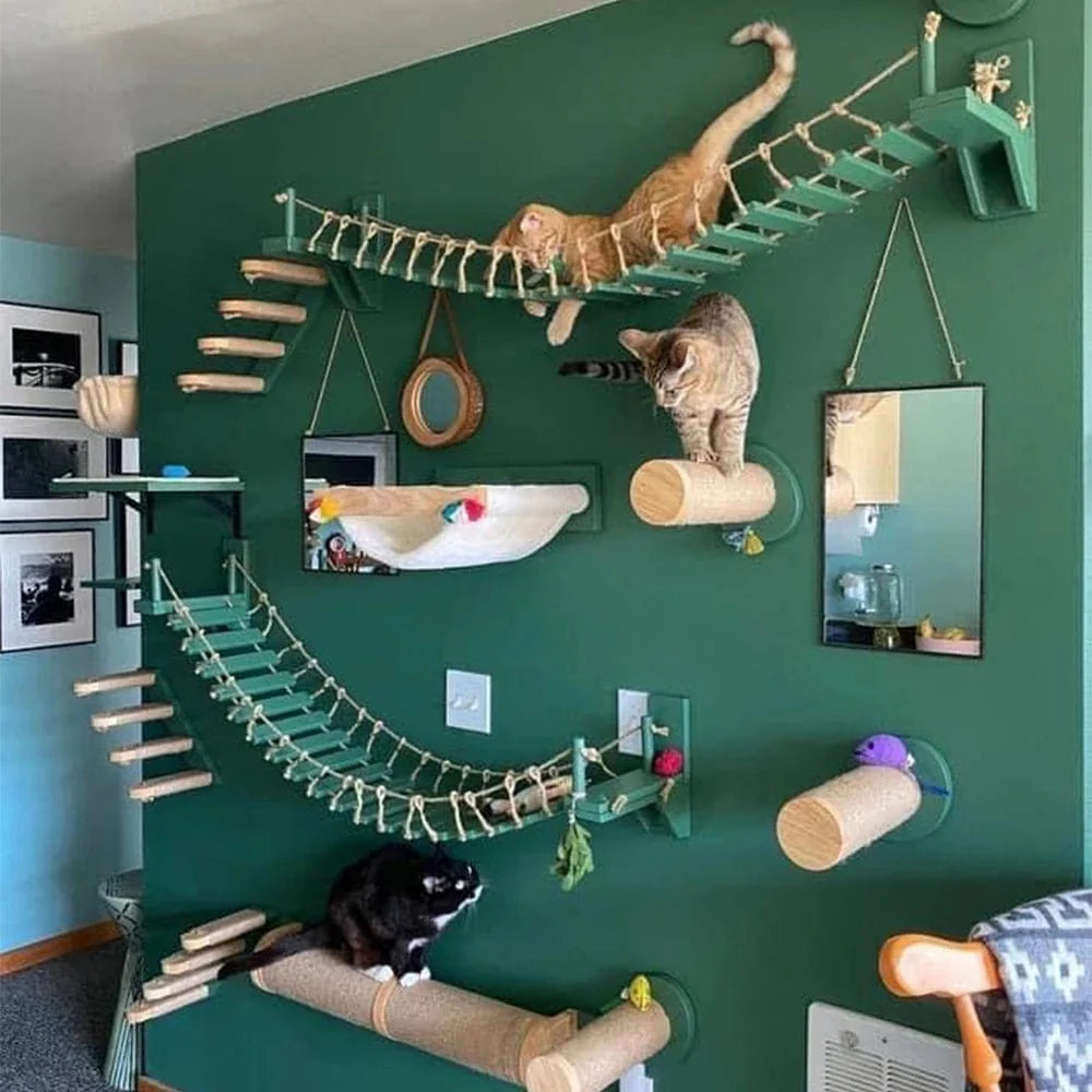 wandkratzbaum katze