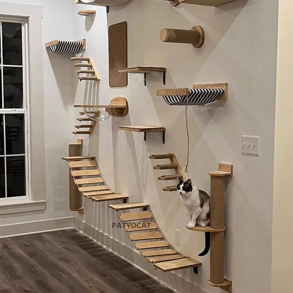 wandkratzbaum katze