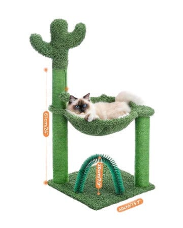 Katzenbaum kaktus