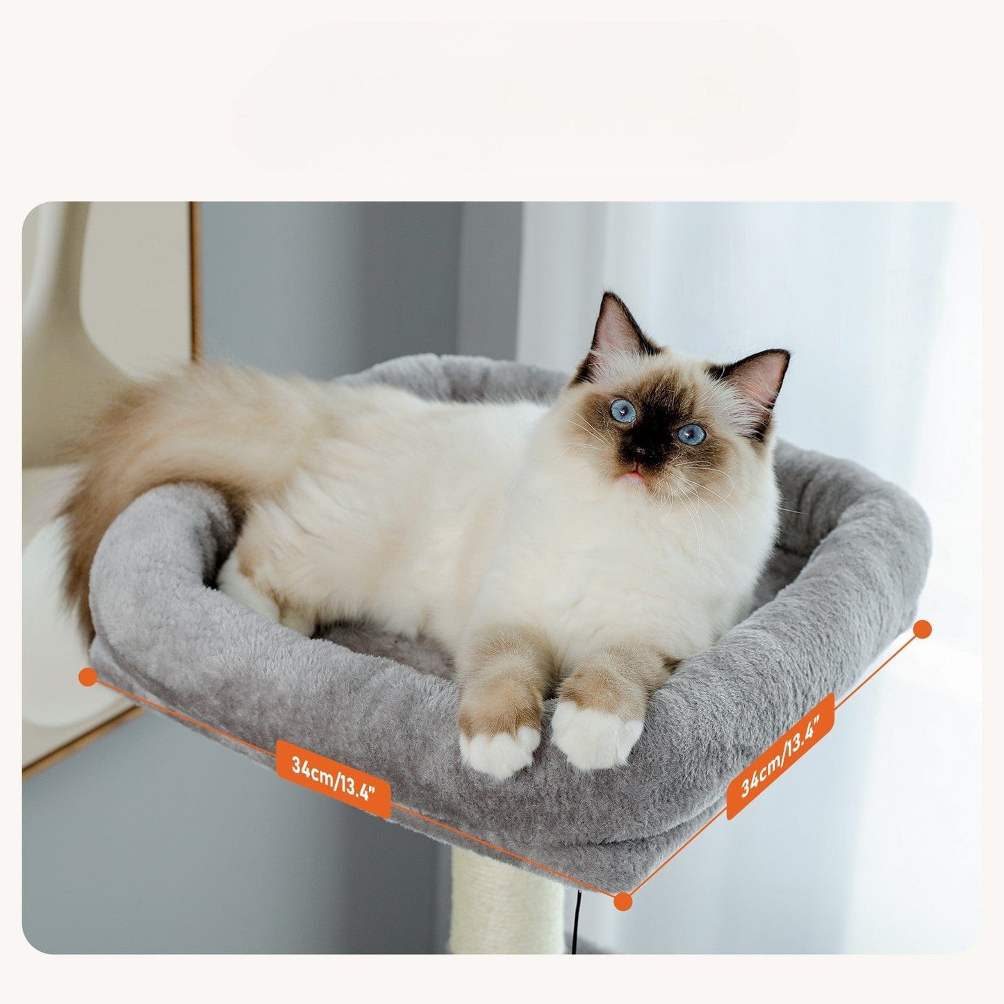 Katzenbaum Grau